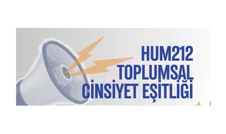 Toplumsal Cinsiyet Eşitliği